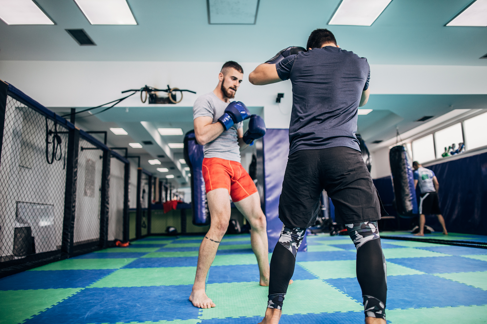 古巴拳击选手实力非凡,一统江湖!的简单介绍 古巴拳击选手实力非凡,一统江湖!的简单介绍