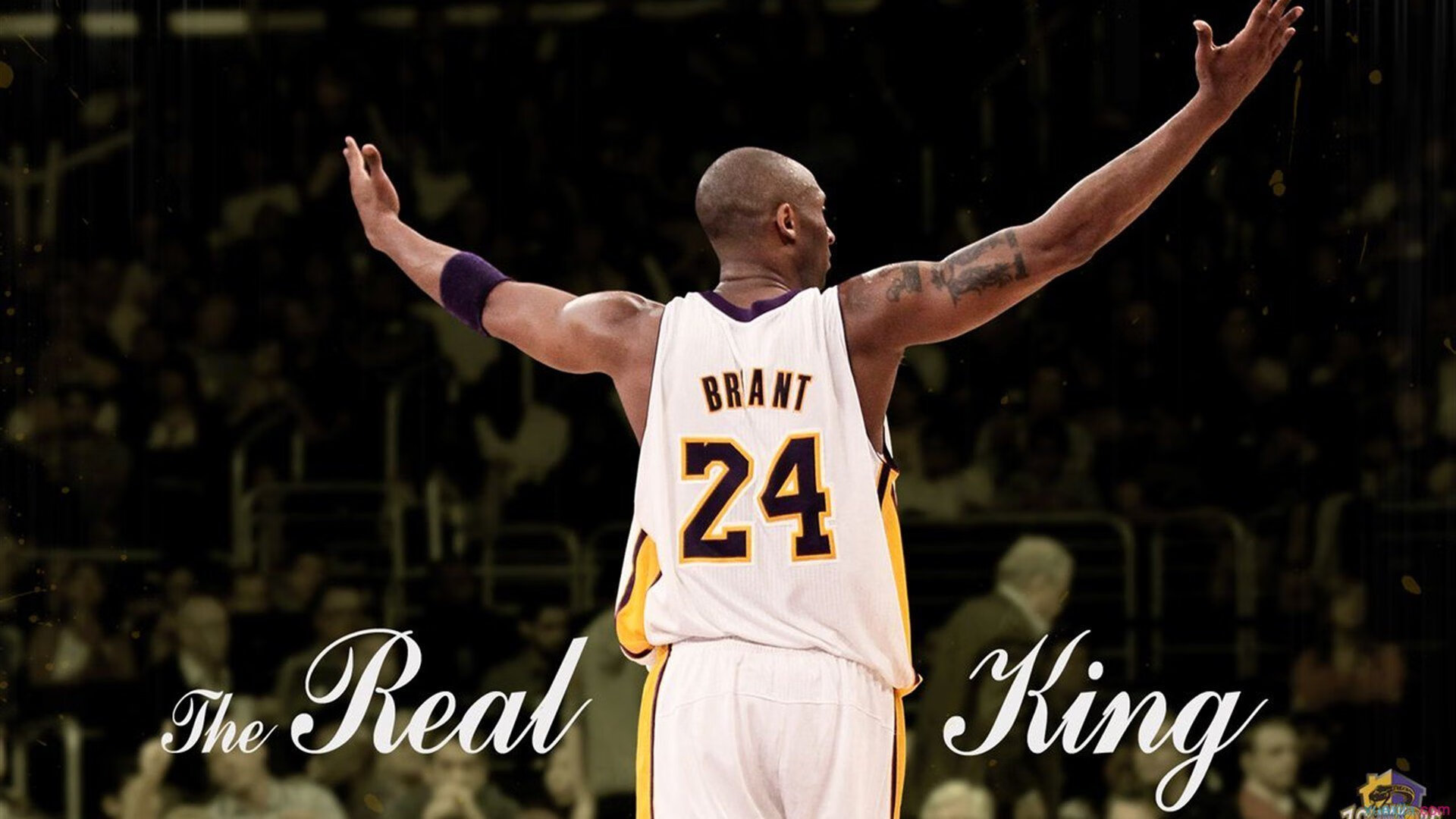 骑士生死战取胜雷霆，恩比德进攻端无人可挡，当钢铁意志撞上绝对天赋