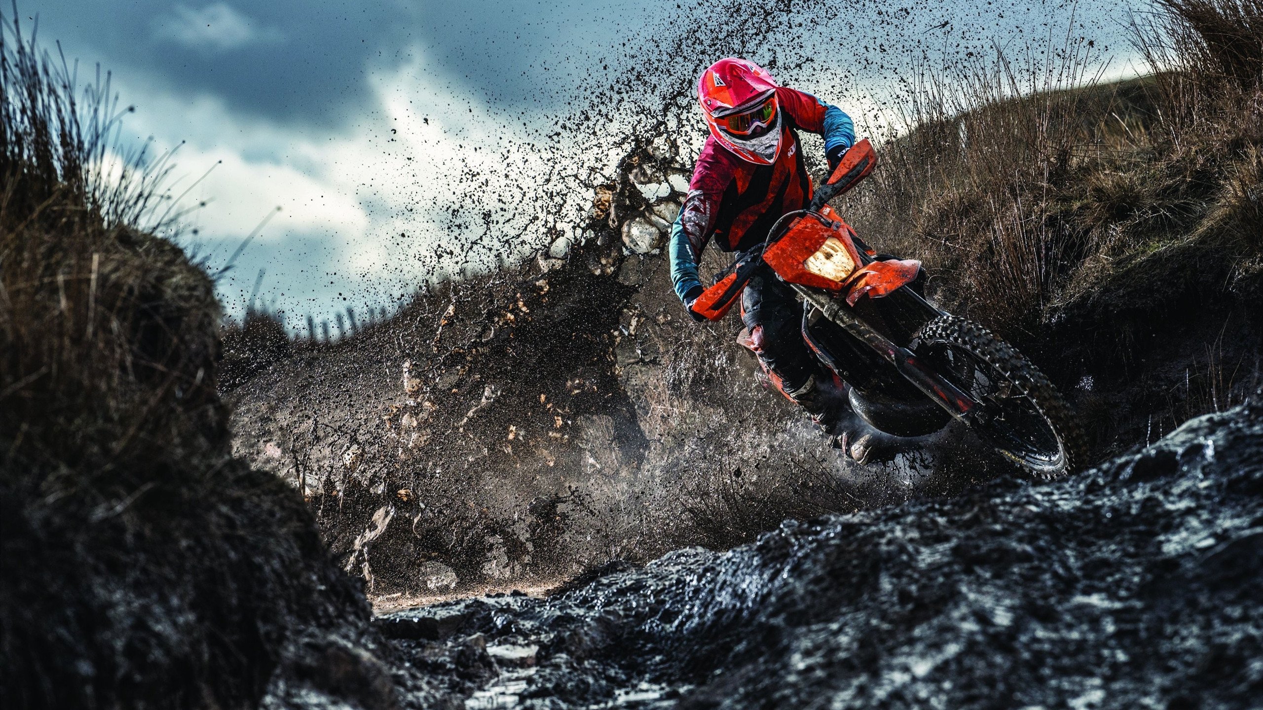 若日尼奥掌控全场,厄瓜多尔速胜爱尔兰背后的战术密码